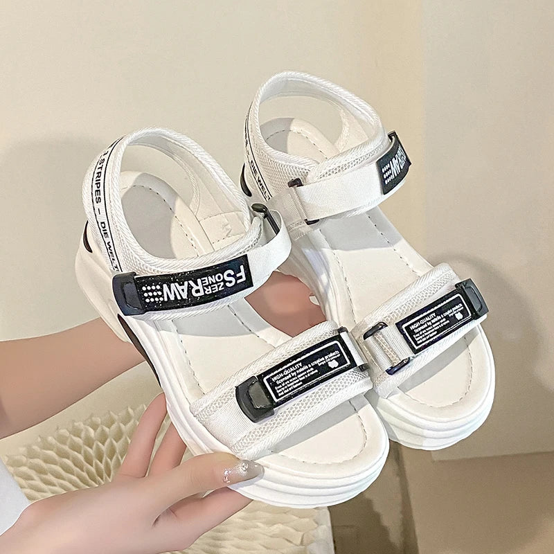 S7497e9b0c3ed483eb8c6c846b98d9e8dK