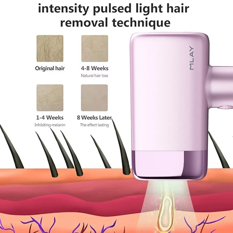 Se6b36c21272449439ff0d3157f6a75359